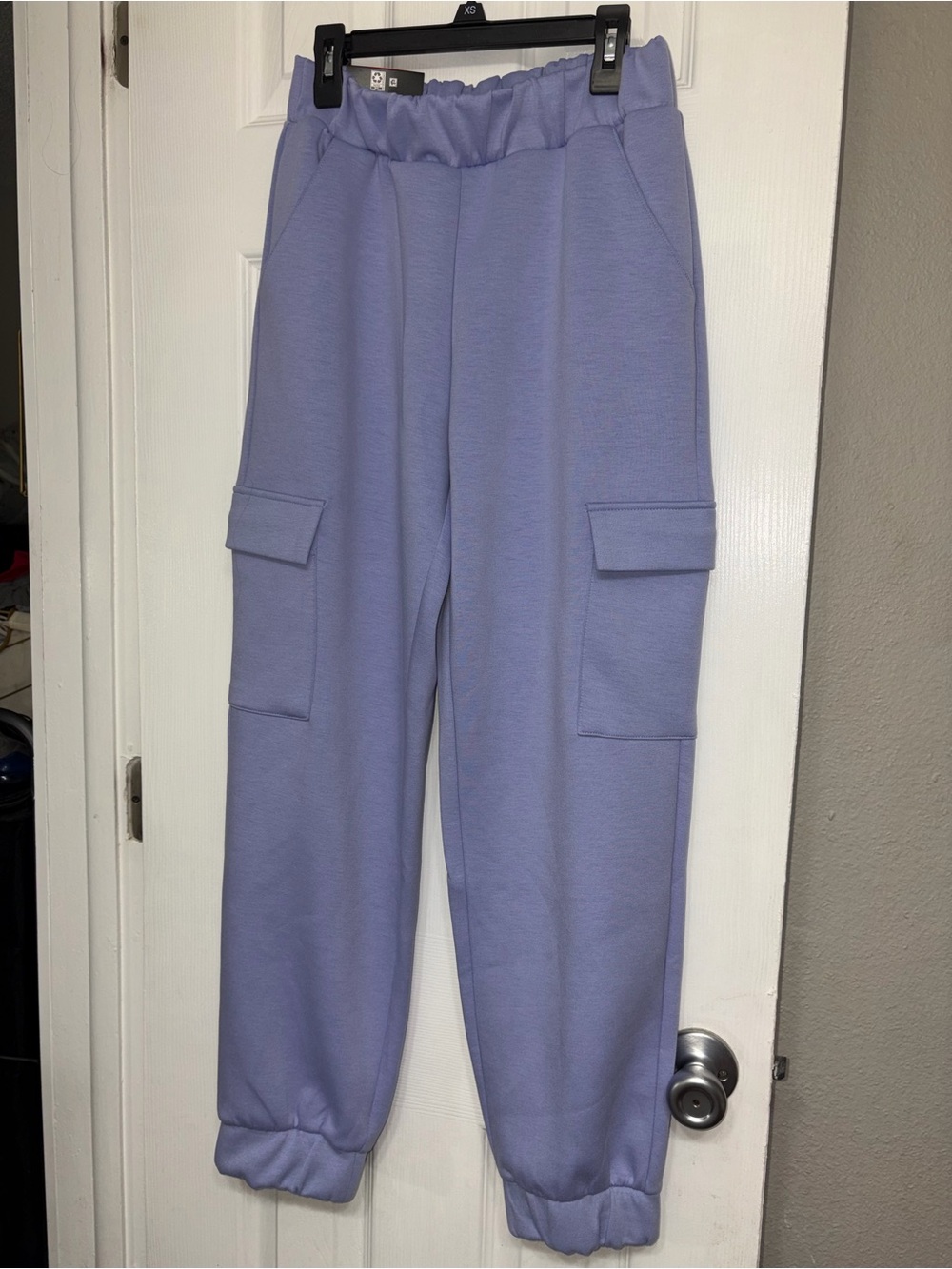 Express Purple Cargo Jogger Pants